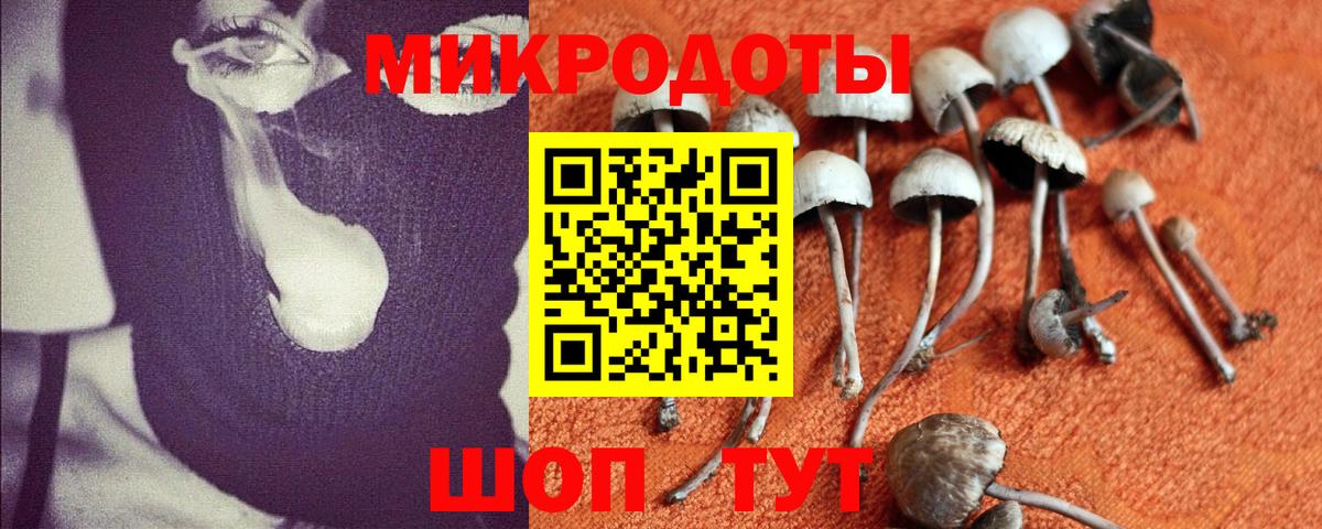 Псилоцибиновые грибы мицелий Южноуральск