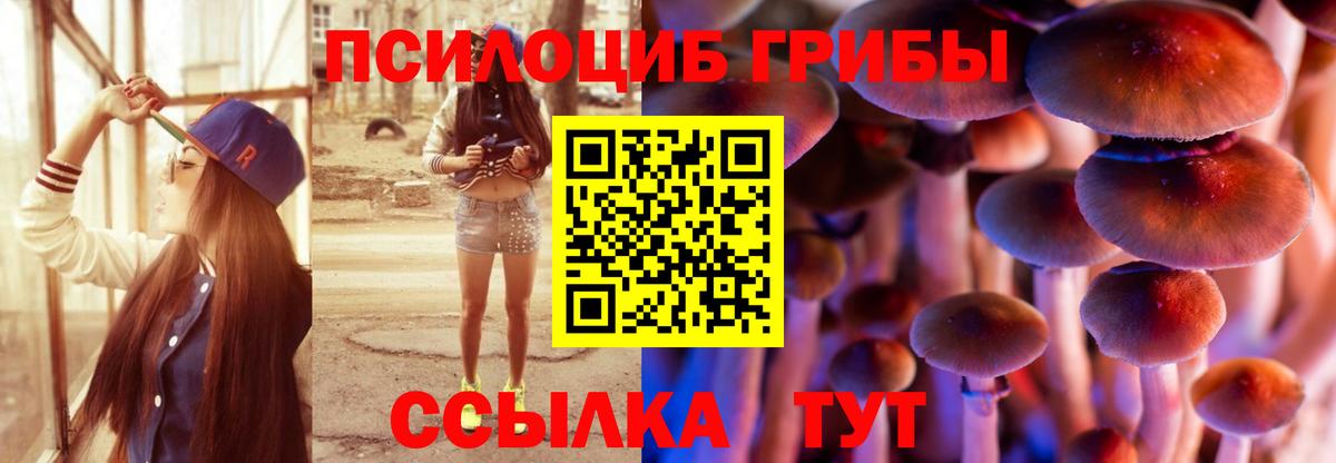 хочу наркоту  Вход с VPN  Южноуральск  Галлюциногенные грибы мицелий  Псилоцибиновые грибы прущие грибы 